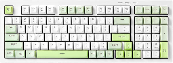 BT-09 PC-Gaming-Tastatur 2-in-1 kabellos und USB-C kabelgebunden, RGB-Beleuchtung (Blau/Weiß/Lila)