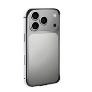 Rixus Crash Guard Case – iPhone 17 Pro Zilver - Back cover
