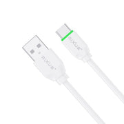 Rixus RXU81CS USB-A naar USB-C kabel connector detail